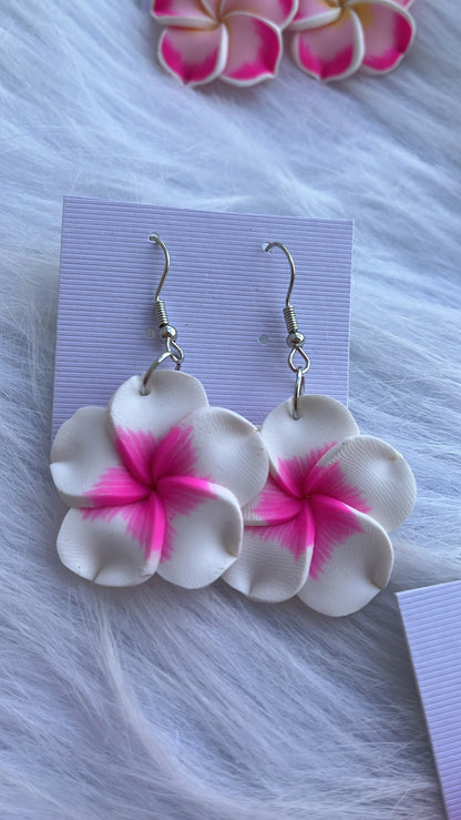 Flores de arcilla 🌺