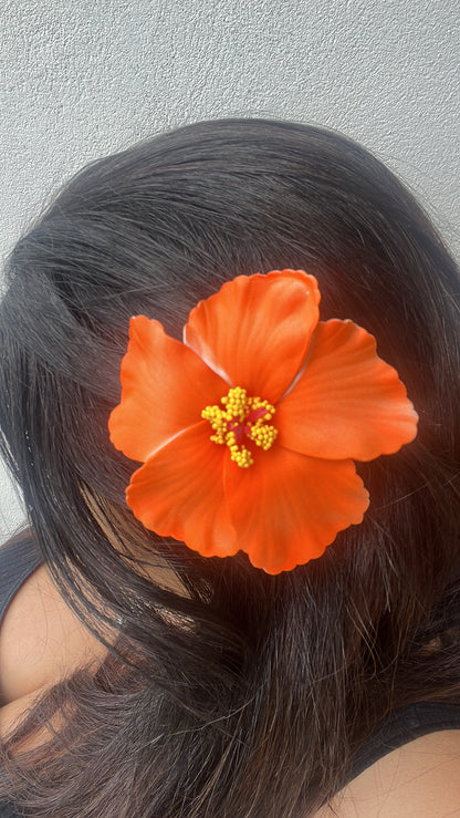 Pinza hibisco