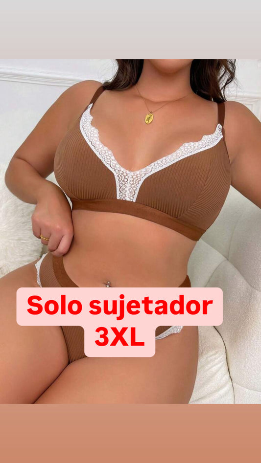 Sujetador marrón
