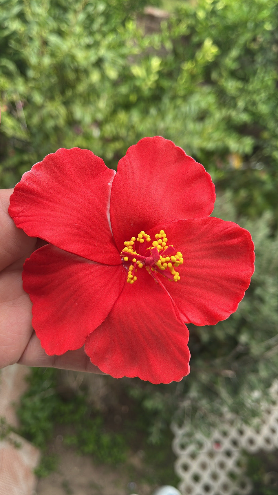 Pinza hibisco