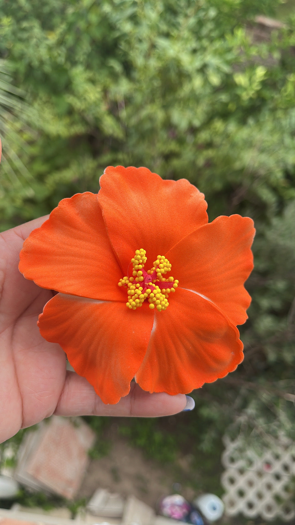 Pinza hibisco