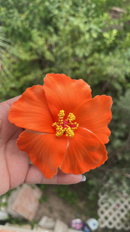 Pinza hibisco