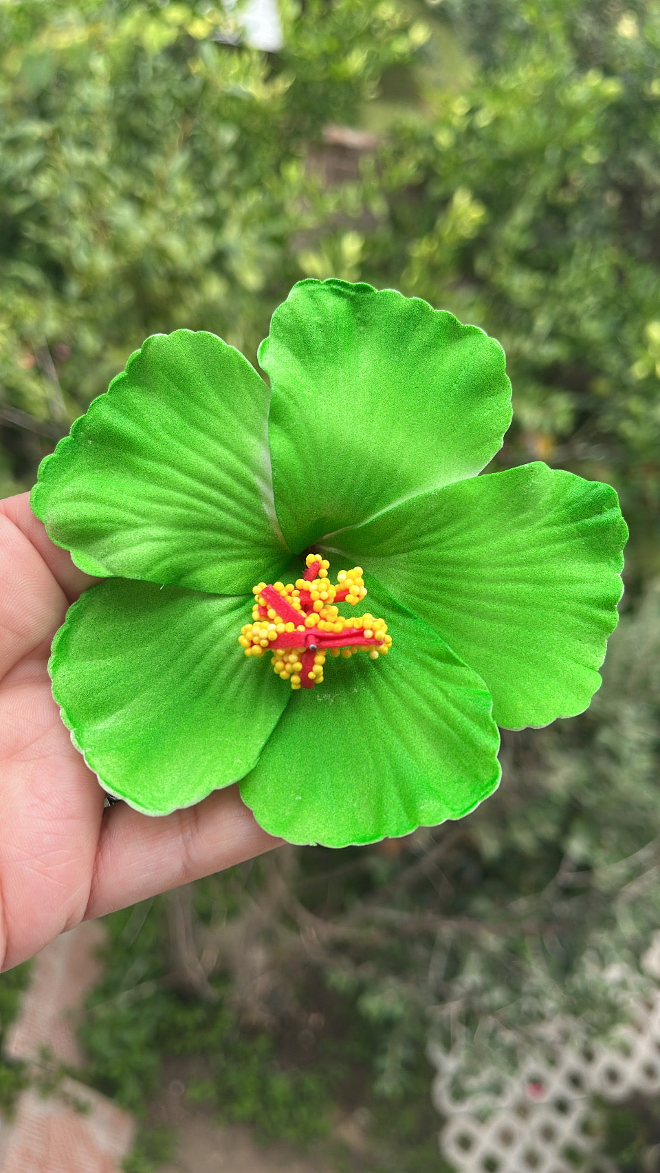 Pinza hibisco