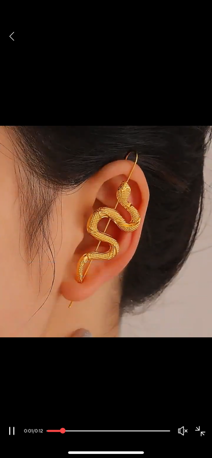 Gancho con serpiente