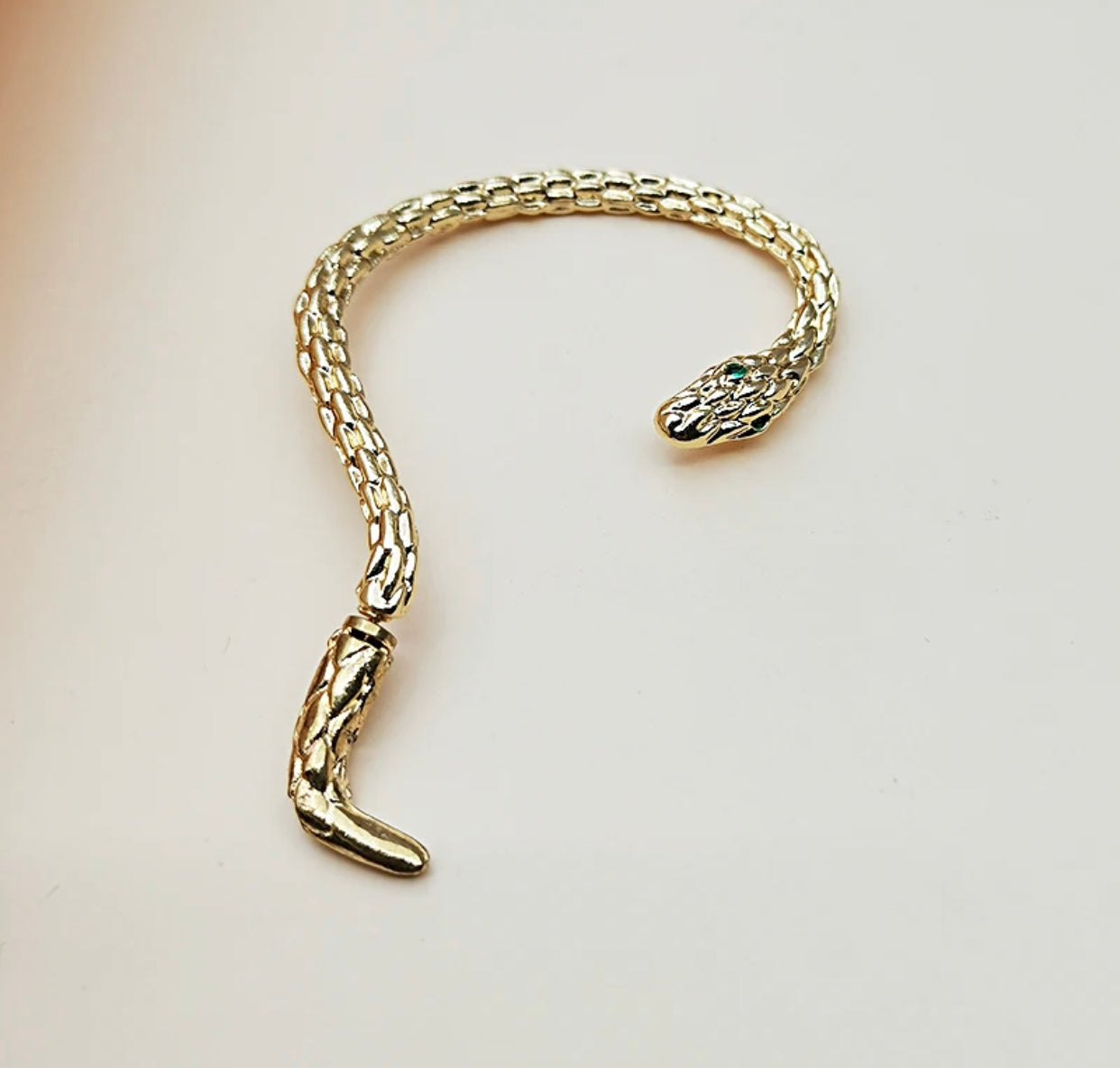 Caravana serpiente