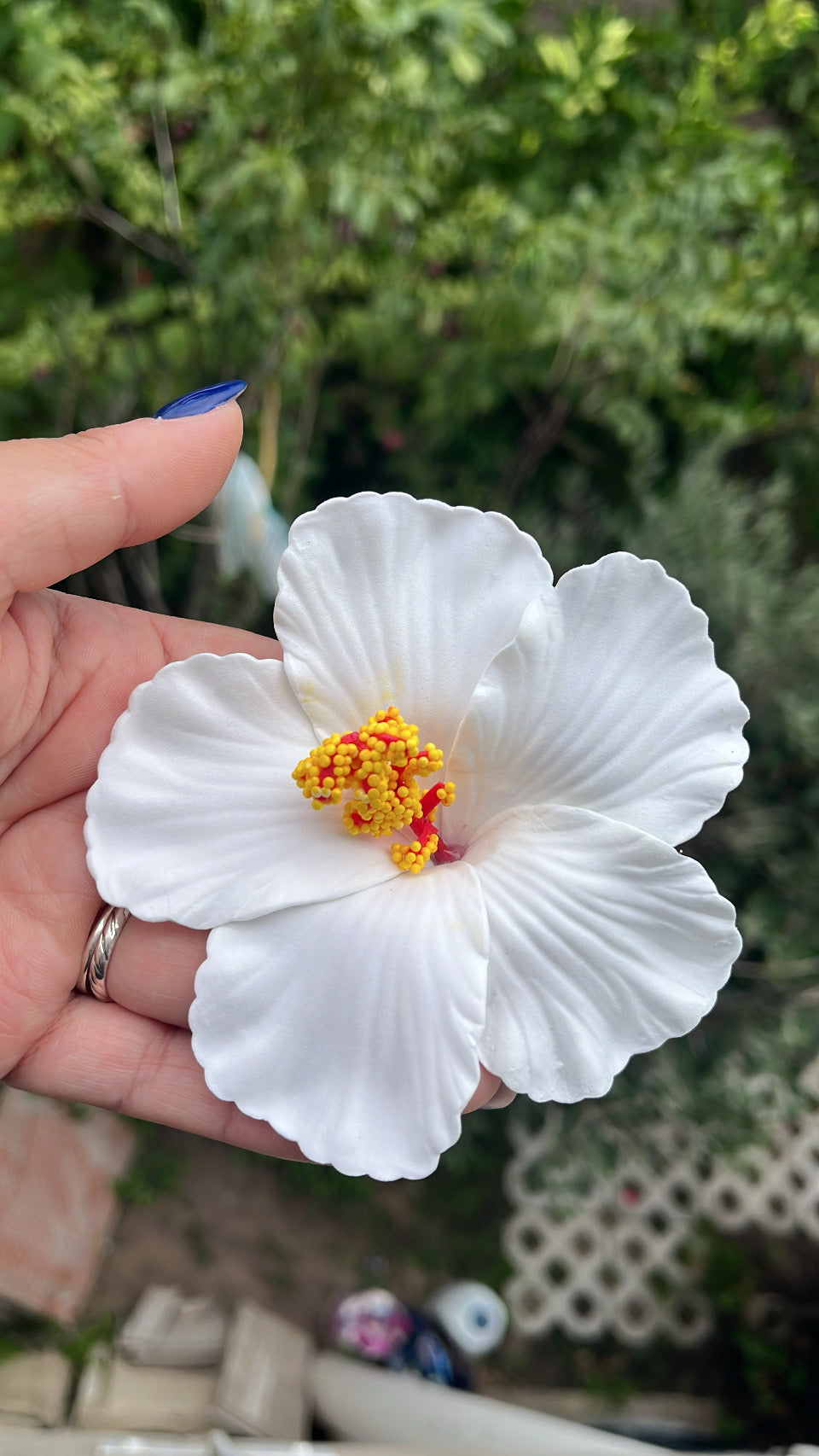 Pinza hibisco