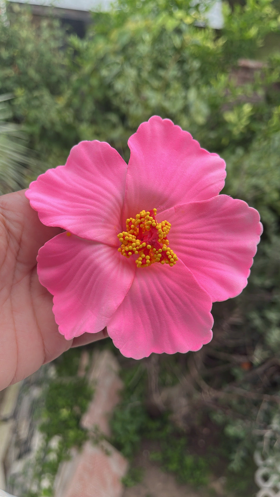 Pinza hibisco